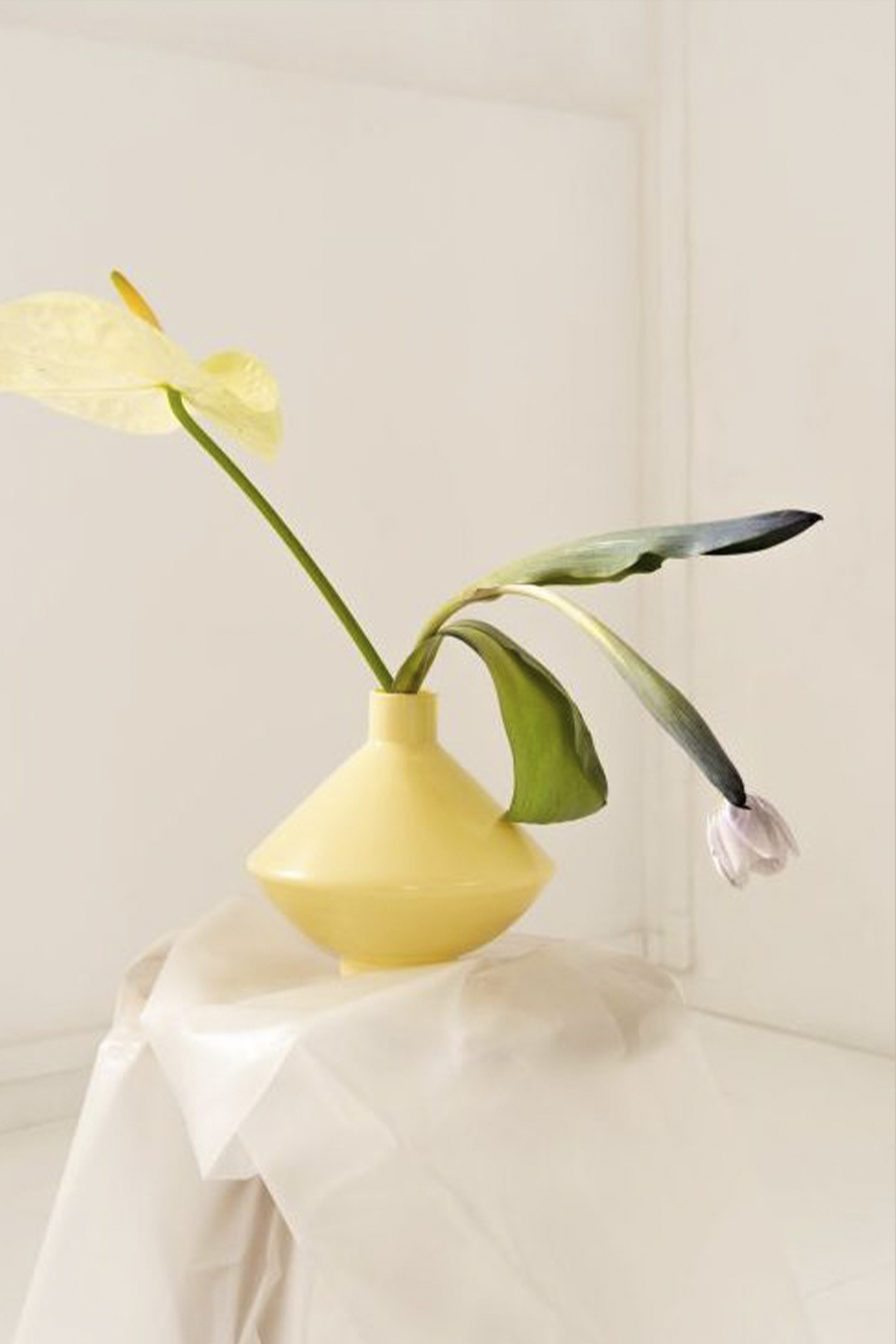 OK VASE vanilla 2