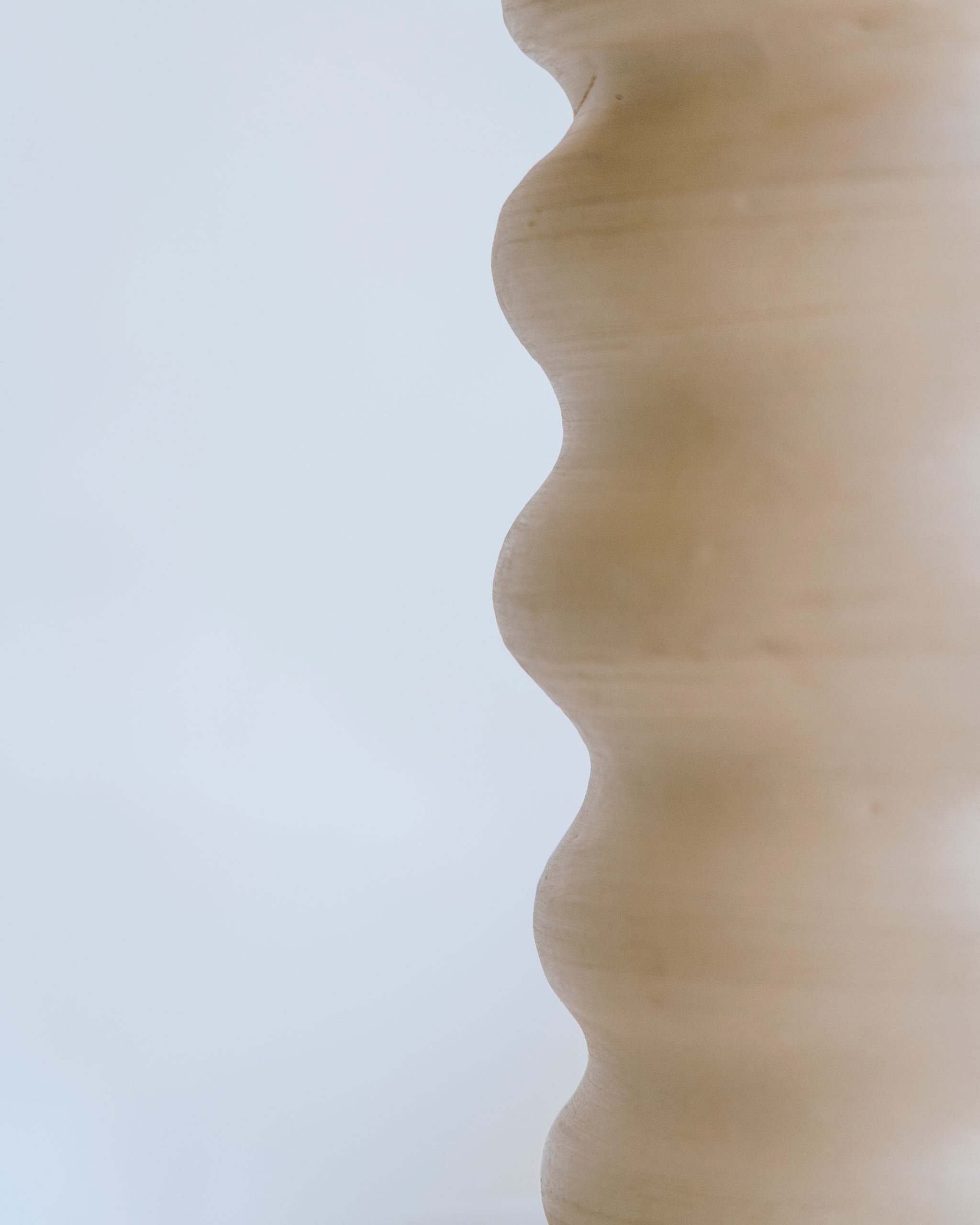 _DSC8446
